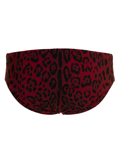 Shop Dolce & Gabbana Mens Animal Printed Swim Briefs In Red