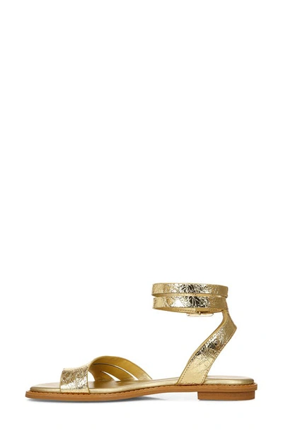 Shop Sarto By Franco Sarto Greene Sandal In Gold