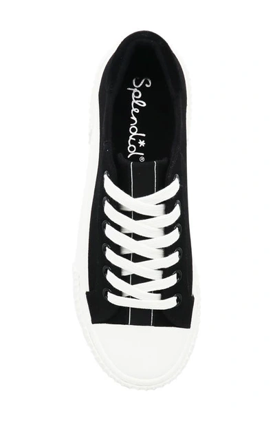 Shop Splendid Tania Sneaker In Black
