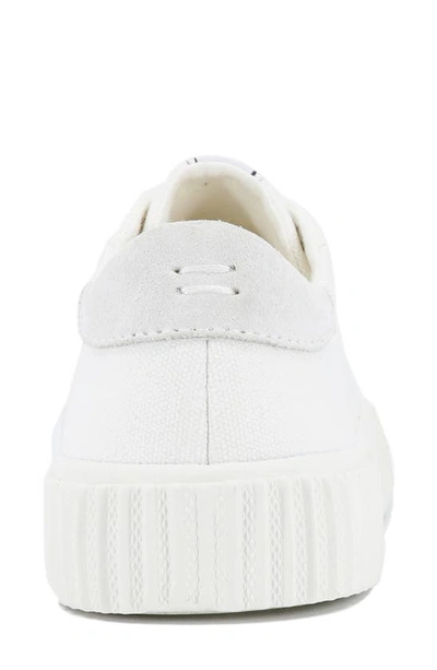 Shop Splendid Tania Sneaker In Blanc