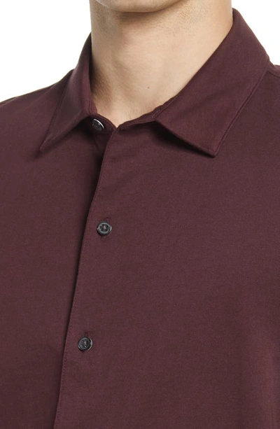 Shop Vince Pima Cotton Button Up Shirt In Curtain Merlot