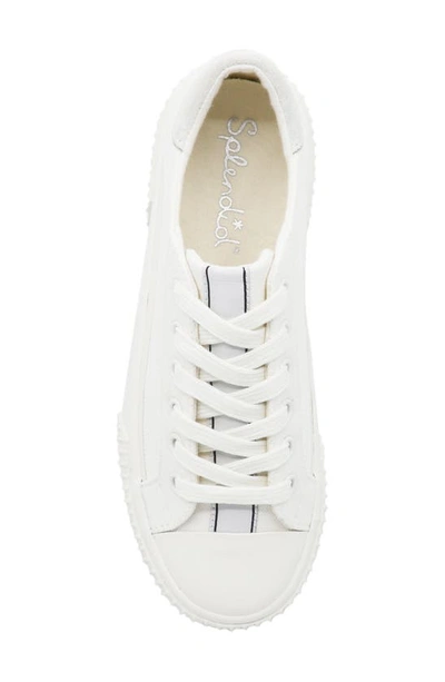 Shop Splendid Tania Sneaker In Blanc
