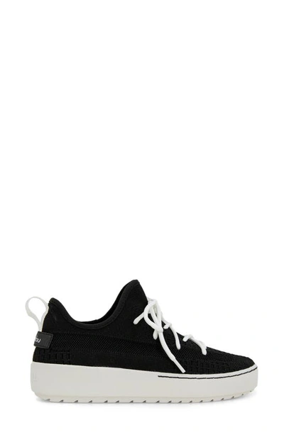Shop Jambu Jenny Sneaker In Black