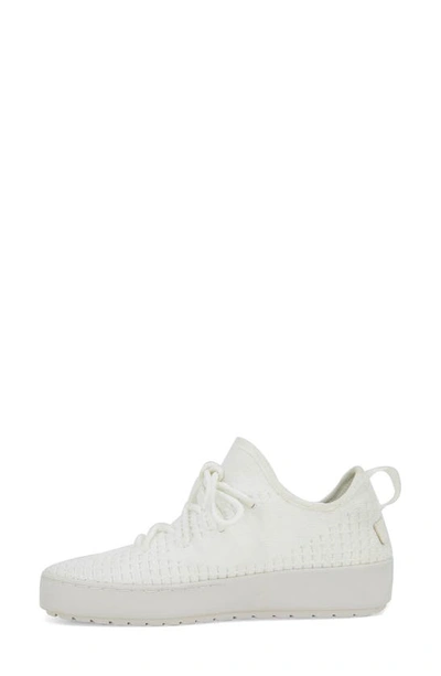 Shop Jambu Jenny Sneaker In White