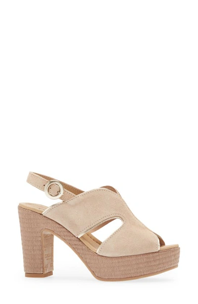 Shop Cordani Toni Slingback Sandal In Corda Suede