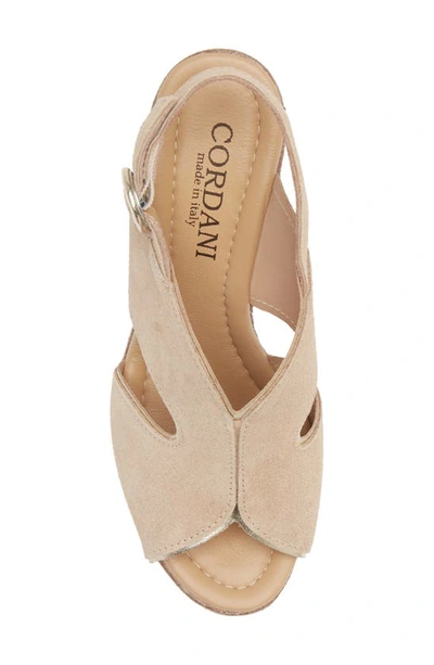 Shop Cordani Toni Slingback Sandal In Corda Suede