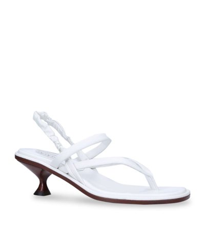 Shop Tod's Leather Thong Sandals 55 In White
