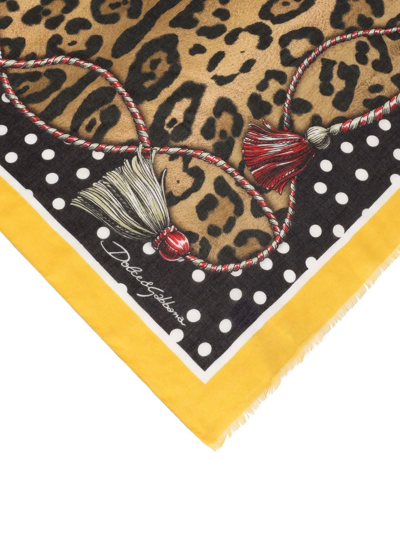 Dolce & Gabbana Leopard-print Frayed Scarf In Brown