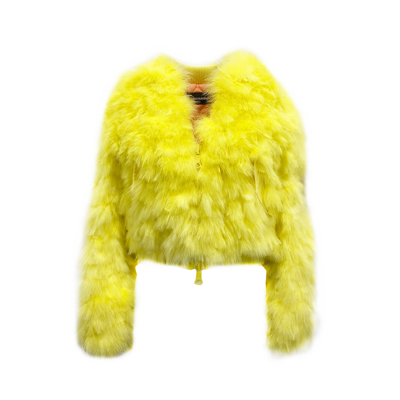 Shop Dsquared2 Feathers Bomber Jacket In Yellow