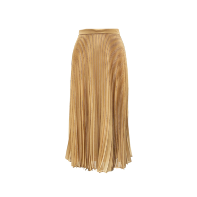 Shop Max Mara Ande Pleated Skirt In Brown