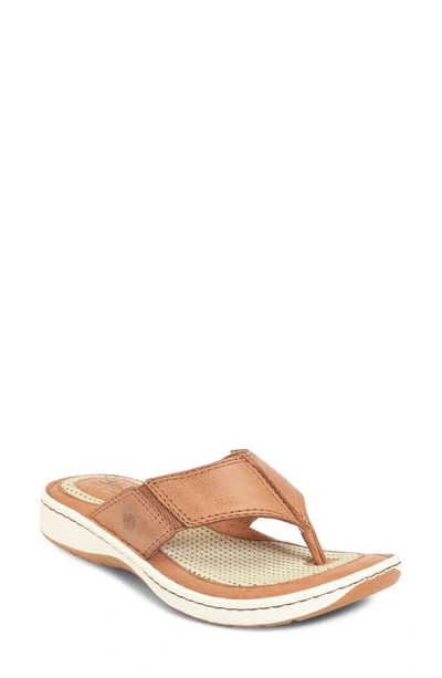 Shop Brn Corvo Flip Flop In Brown