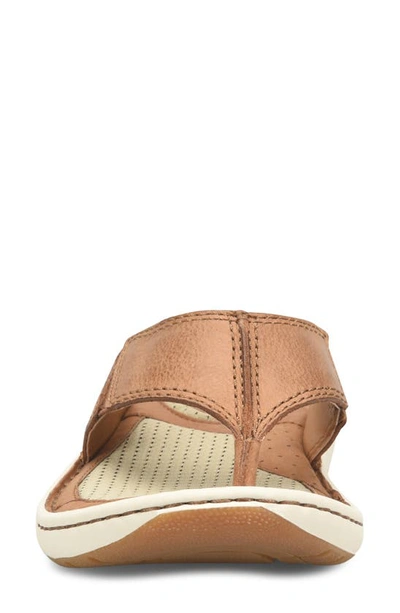 Shop Brn Corvo Flip Flop In Brown