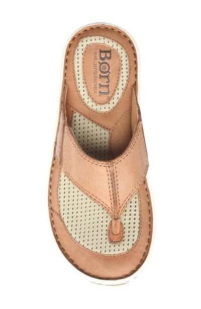 Brn Corvo Flip Flop In Brown