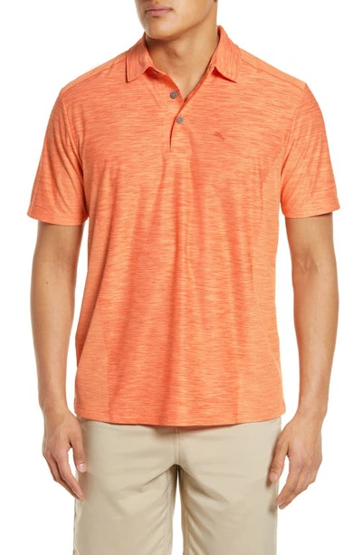 Shop Tommy Bahama Palm Coast Classic Fit Polo In Rumba Orange
