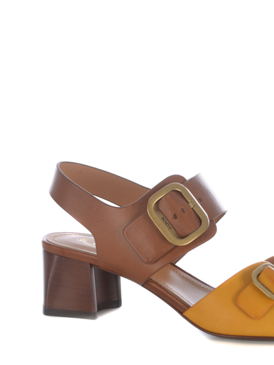 Shop Tod's Sandali Tods In Pelle In Cuoio