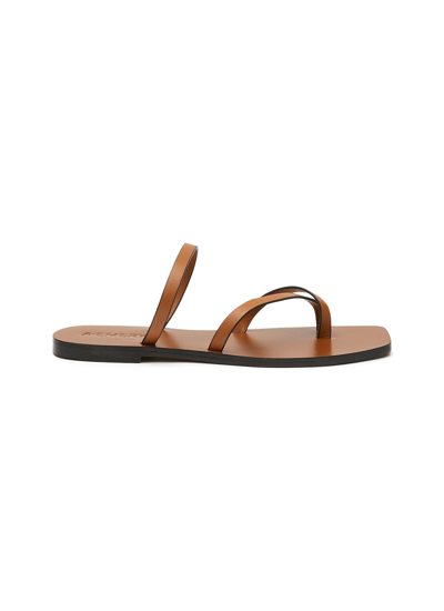 Shop A.emery 'colby' Square Toe Leather Toe Ring Sandals In Brown