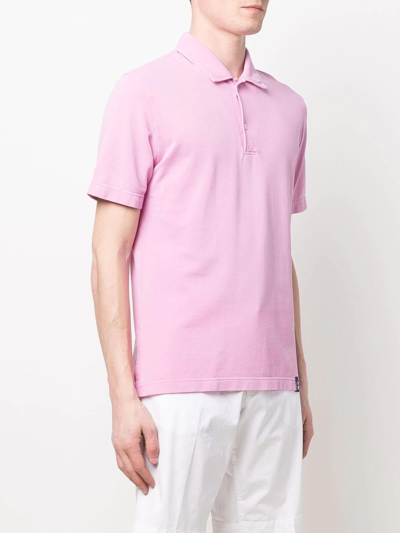 Shop Drumohr Cotton Polo Shirt In Rosa