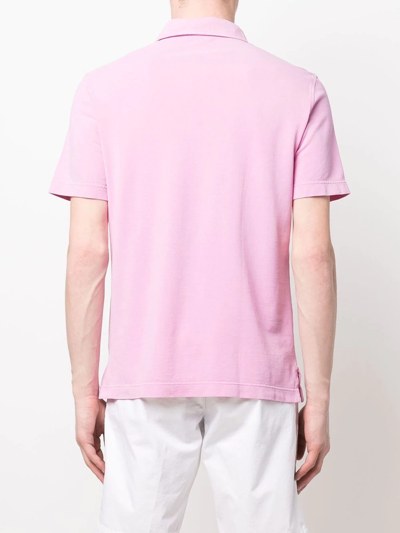 Shop Drumohr Cotton Polo Shirt In Rosa