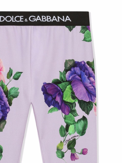 Shop Dolce & Gabbana Floral-print Logo-waist Leggings In Purple