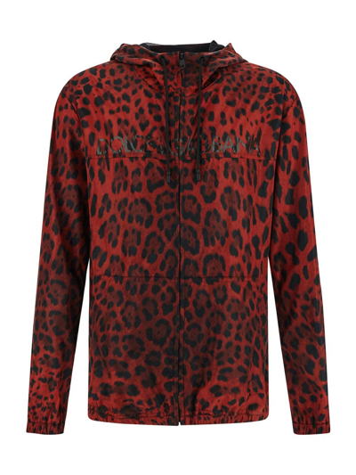 Shop Dolce & Gabbana Leopard-print Hooded Jacket In Metallic