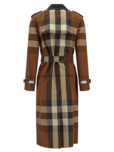 Shop Burberry Trench Woman In Brown