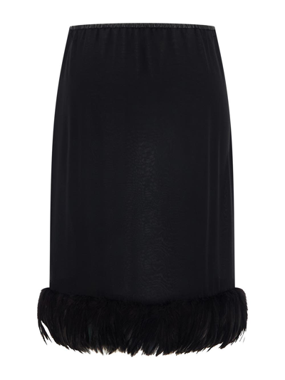 Shop Saint Laurent Long Skirt With Feathers In Black