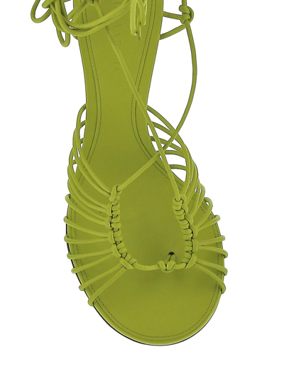 Shop Bottega Veneta Dot Sandals In Green