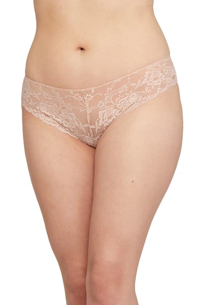 Shop Montelle Intimates Brazilian Lace Panties In Champagne