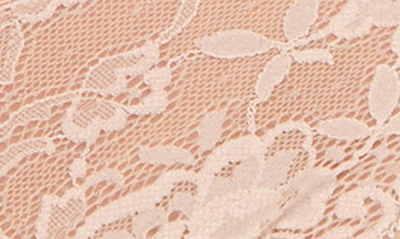 Shop Montelle Intimates Brazilian Lace Panties In Champagne