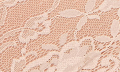 Montelle Intimates Brazilian Lace Panties In Champagne
