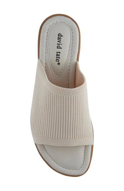 David Tate Minty Sandal In Bone