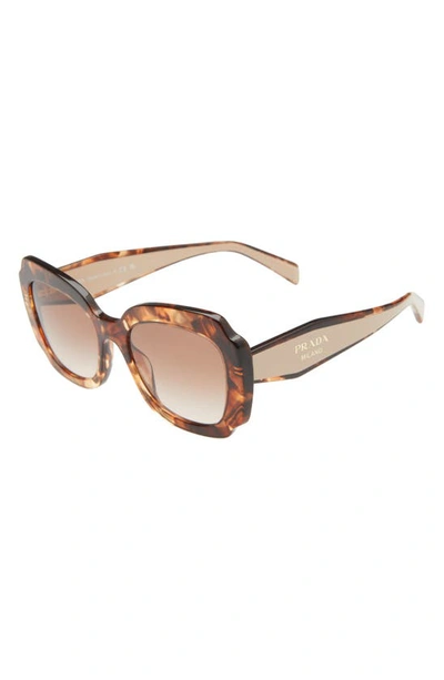 Shop Prada Havana 52mm Gradient Geometric Sunglasses