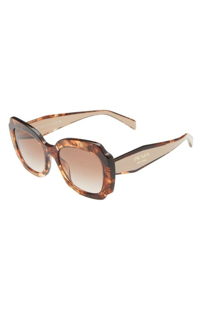 Prada Havana 52mm Gradient Geometric Sunglasses In Havana