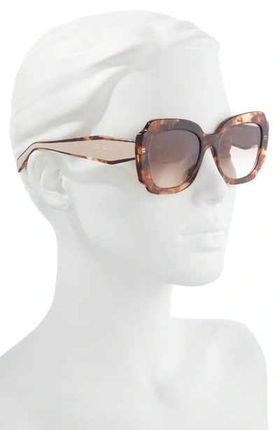 Prada Havana 52mm Gradient Geometric Sunglasses In Havana