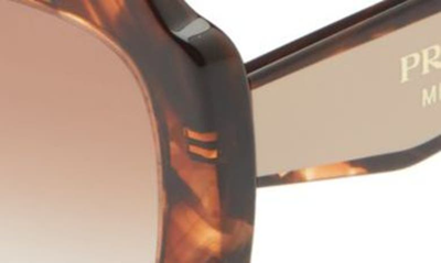 Prada Havana 52mm Gradient Geometric Sunglasses In Havana
