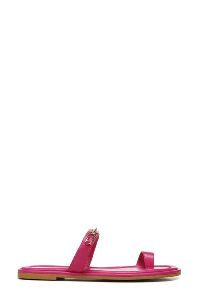 Shop Franco Sarto Jade Toe Loop Sandal In Pink