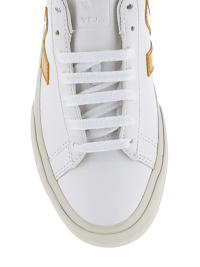 Shop Veja Campo Sneakers In White