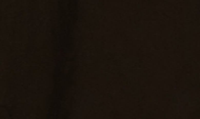 X-ray Belted Cargo Shorts In Black