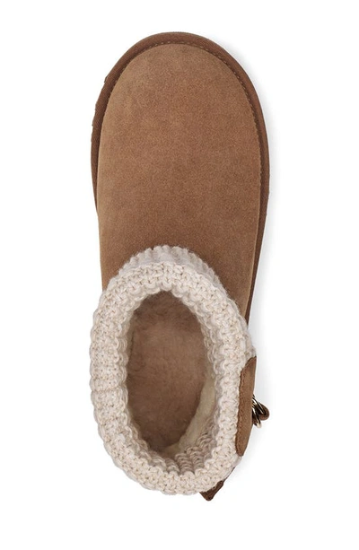 Ugg Classic Solene Mini Ankle Boots In Chestnut/ Oatmeal Suede