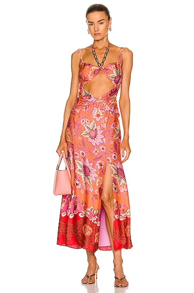 Shop Alexis Nisa Maxi Dress In Orange Blossom