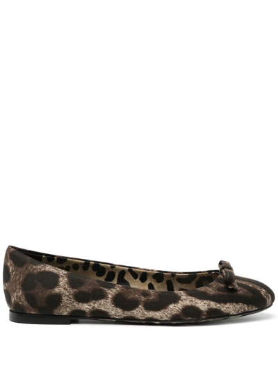 Dolce & Gabbana Leopard-print Ballerina Shoes In Braun
