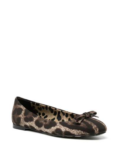 Dolce & Gabbana Leopard-print Ballerina Shoes In Braun