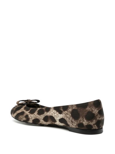 Dolce & Gabbana Leopard-print Ballerina Shoes In Braun