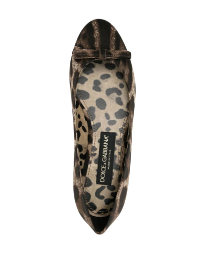 Dolce & Gabbana Leopard-print Ballerina Shoes In Braun