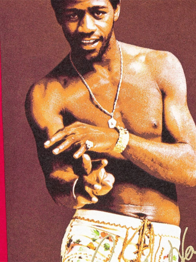 Supreme Al Green T-shirt In Red