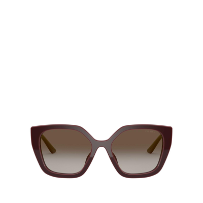 Shop Prada Pr 24xs Bordeaux Female Sunglasses