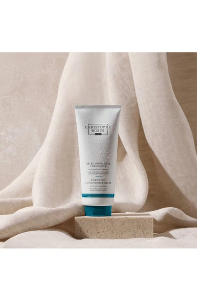 Christophe Robin Detangling Gelée