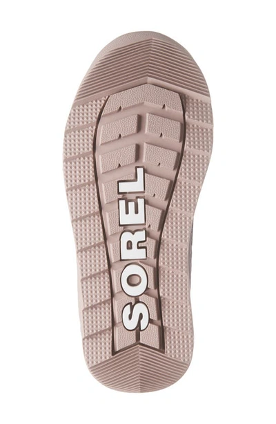 Shop Sorel Whitney™ Ii Short Waterproof Insulated Boot In Purple Sage