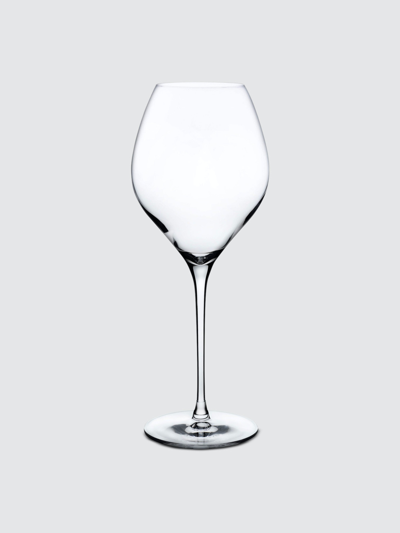 Shop Nude Glass Fantasy White Wine Glass, Set Of 2 In Clear