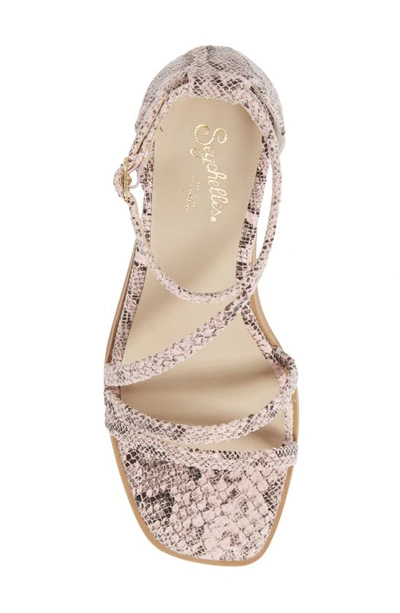 Seychelles Comradery Strappy Sandal In Pink Exotic ModeSens